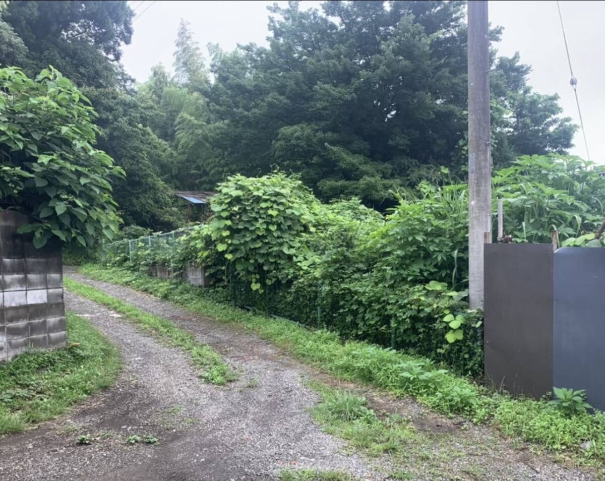 厚木市 畑 532㎡